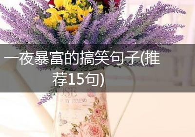 一夜暴富的搞笑句子(推荐15句)