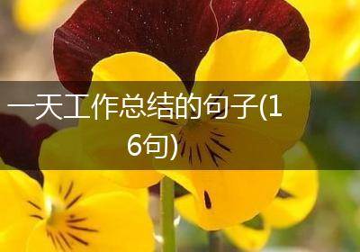 一天工作总结的句子(16句)