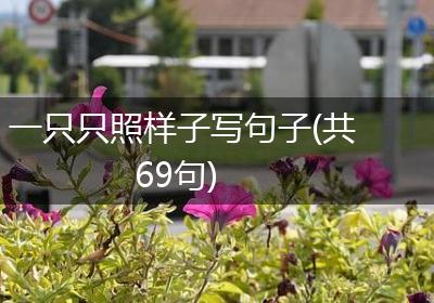 一只只照样子写句子(共69句)