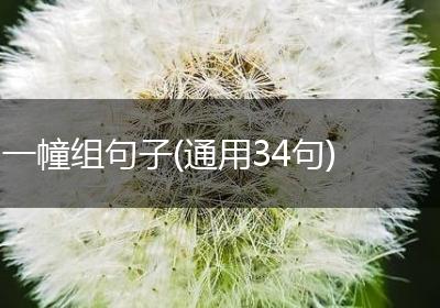 一幢组句子(通用34句)