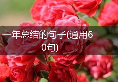 一年总结的句子(通用60句)
