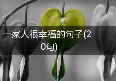 一家人很幸福的句子(20句)