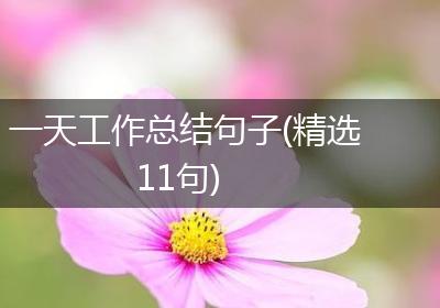 一天工作总结句子(精选11句)