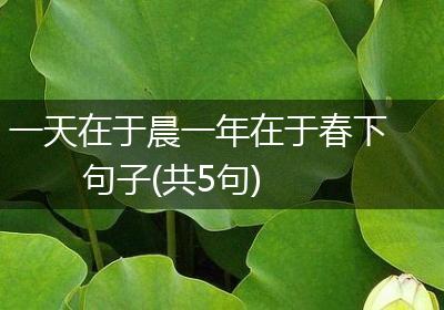 一天在于晨一年在于春下句子(共5句)