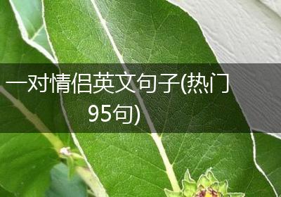 一对情侣英文句子(热门95句)