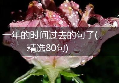 一年的时间过去的句子(精选80句)