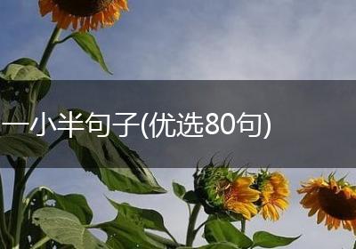 一小半句子(优选80句)
