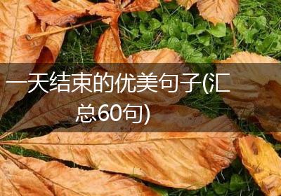 一天结束的优美句子(汇总60句)