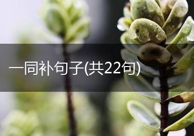 一同补句子(共22句)