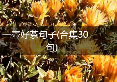 一壶好茶句子(合集30句)