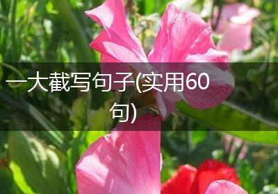 一大截写句子(实用60句)