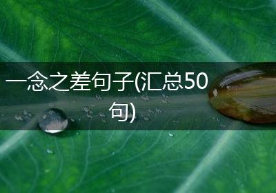 一念之差句子(汇总50句)