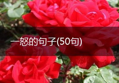 一怒的句子(50句)