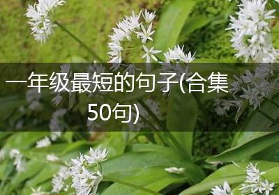 一年级最短的句子(合集50句)