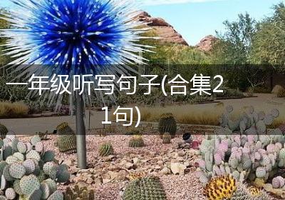 一年级听写句子(合集21句)