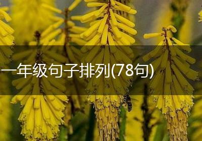 一年级句子排列(78句)