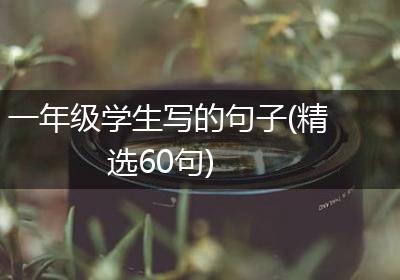 一年级学生写的句子(精选60句)