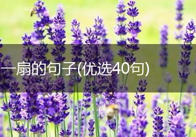 一扇的句子(优选40句)