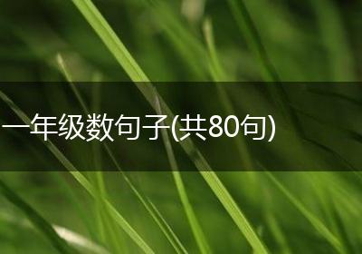 一年级数句子(共80句)