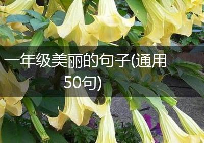 一年级美丽的句子(通用50句)