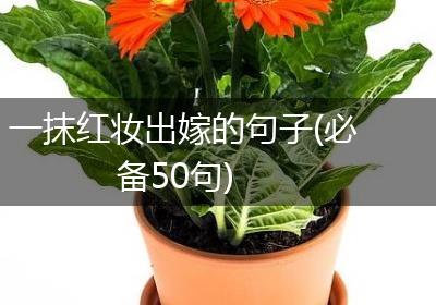 一抹红妆出嫁的句子(必备50句)