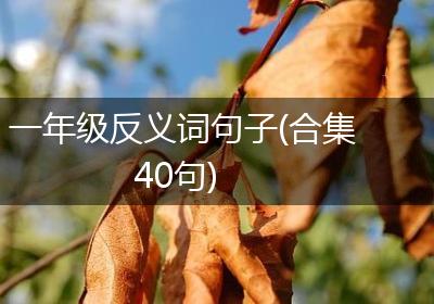 一年级反义词句子(合集40句)