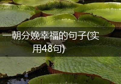 一朝分娩幸福的句子(实用48句)