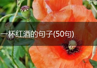 一杯红酒的句子(50句)