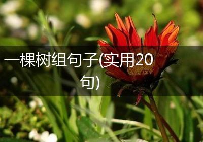 一棵树组句子(实用20句)