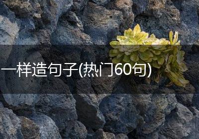 一样造句子(热门60句)