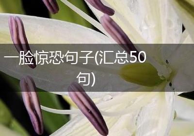 一脸惊恐句子(汇总50句)