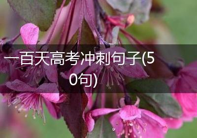 一百天高考冲刺句子(50句)