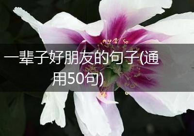 一辈子好朋友的句子(通用50句)