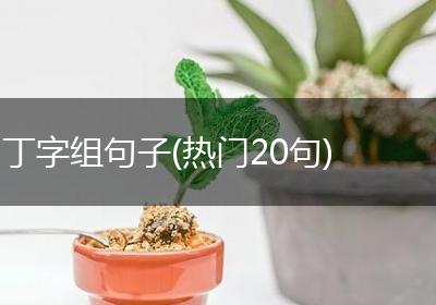 丁字组句子(热门20句)