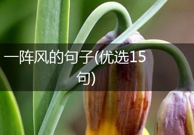 一阵风的句子(优选15句)