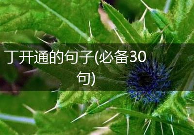 丁开通的句子(必备30句)