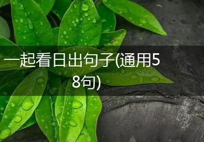 一起看日出句子(通用58句)