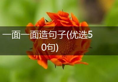 一面一面造句子(优选50句)