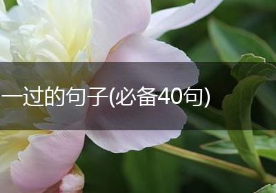 一过的句子(必备40句)