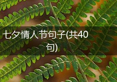 七夕情人节句子(共40句)