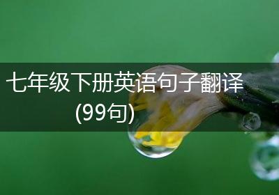 七年级下册英语句子翻译(99句)