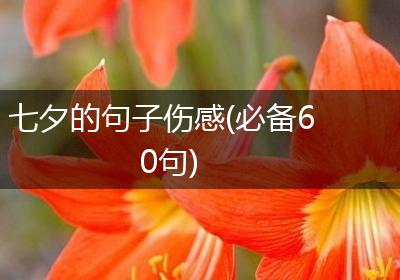 七夕的句子伤感(必备60句)