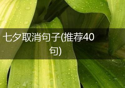 七夕取消句子(推荐40句)