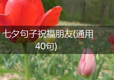 七夕句子祝福朋友(通用40句)