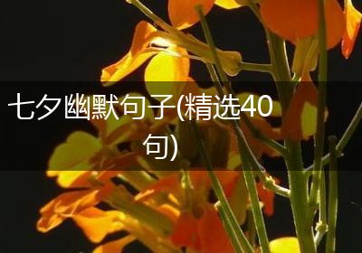 七夕幽默句子(精选40句)