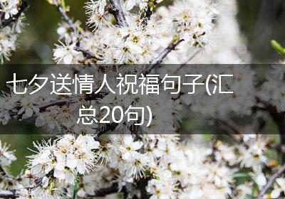 七夕送情人祝福句子(汇总20句)