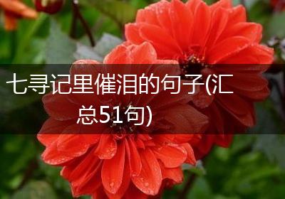 七寻记里催泪的句子(汇总51句)