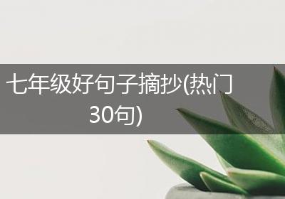 七年级好句子摘抄(热门30句)