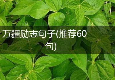 万疆励志句子(推荐60句)