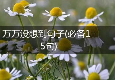 万万没想到句子(必备15句)